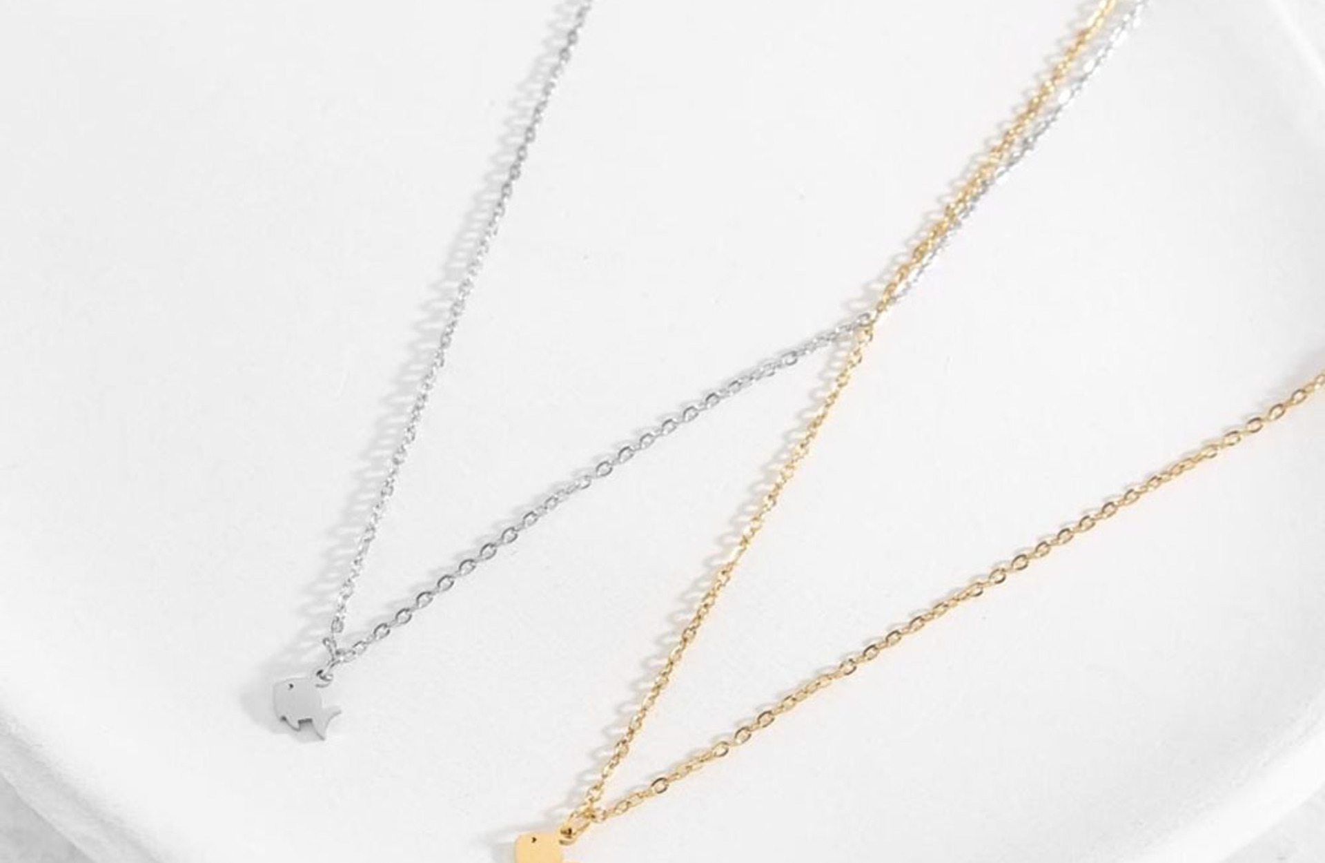 Collares con alma diseños elegantes en Benicarló. Collar acero pez.